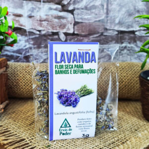 Lavanda - Ervas - Imagem 1