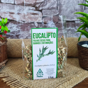 Eucalipto - Ervas - Imagem 1