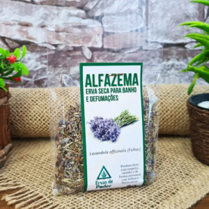 Alfazema - Ervas - Imagem 1