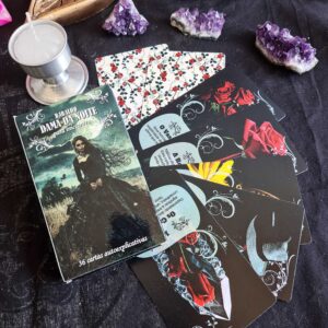 Tarô Dama da Noite Iniciantes 36 Cartas