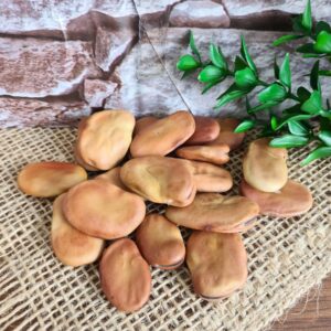Fava de Iansã - Imagem 1