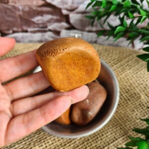 Fava de Oxum - Imagem 2