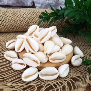 Búzios 50g