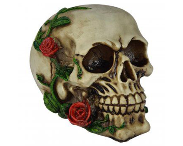 rosa no rosto 1
