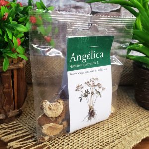 Angélica - Ervas - Imagem 2