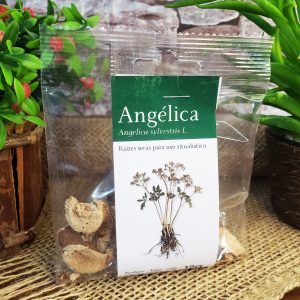 Angélica - Ervas - Imagem 1