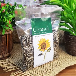 Girassol - Ervas - Imagem 2