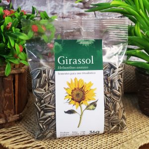Girassol - Ervas - Imagem 1