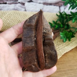Fava de Aridan P