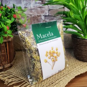 Macela - Ervas - Imagem 3