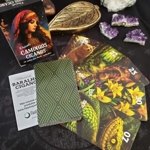 Oráculo Caminhos Ciganos 36 Cartas - Imagem 3